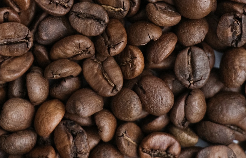  Arabica ou Robusta : lequel choisir pour votre café